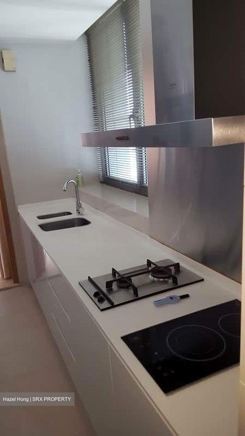 Park Infinia At Wee Nam (D11), Condominium #573951901
